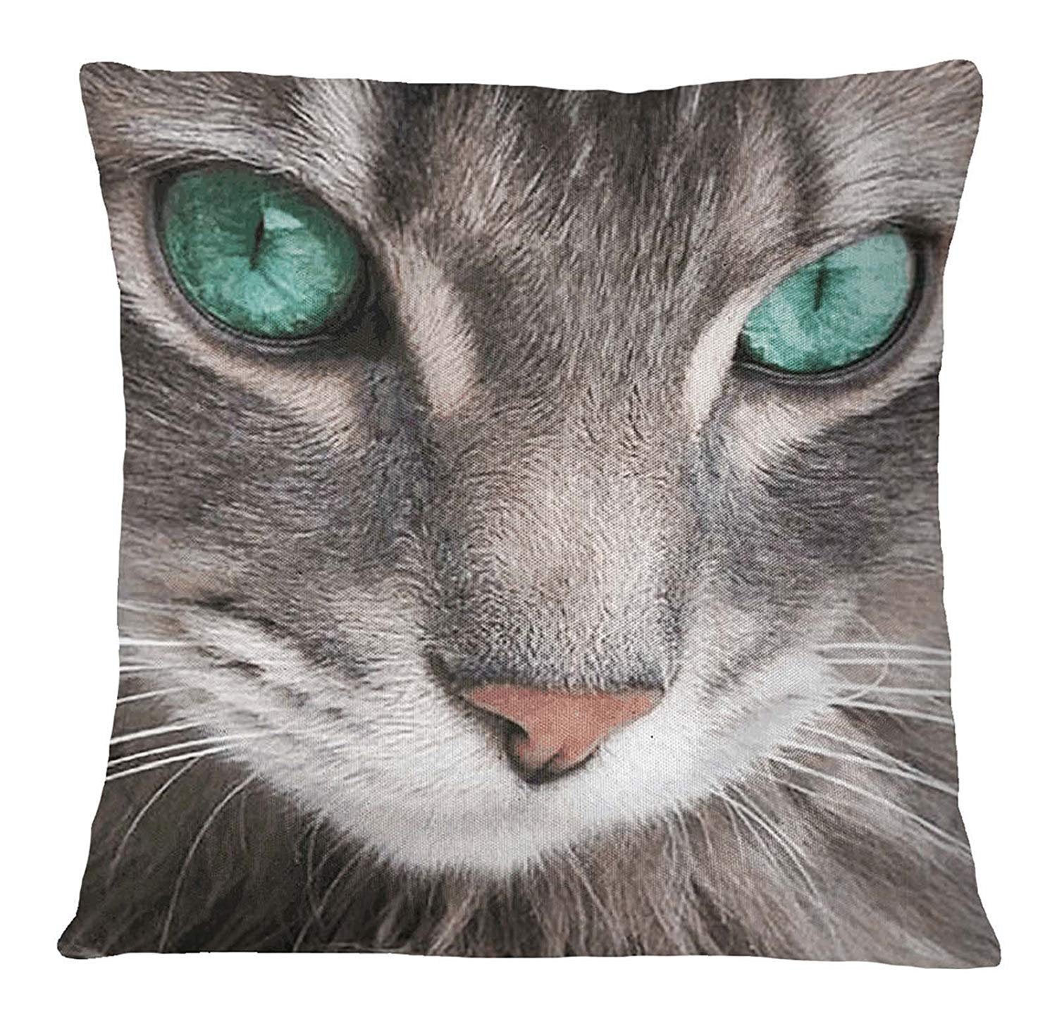 cat face on pillow