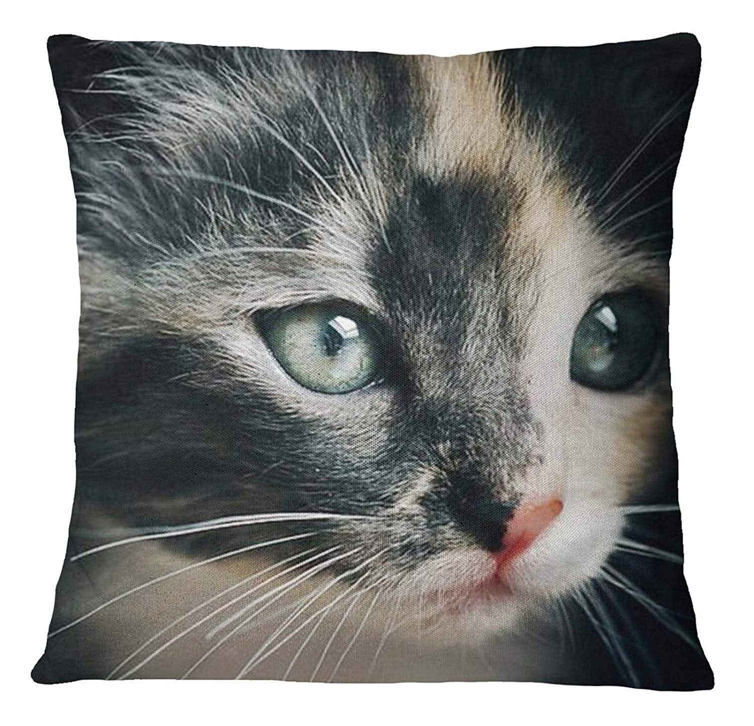 S4sassy Numerique Decoratif Visage De Chat Imprimer Coussin Carre Rbh Ebay